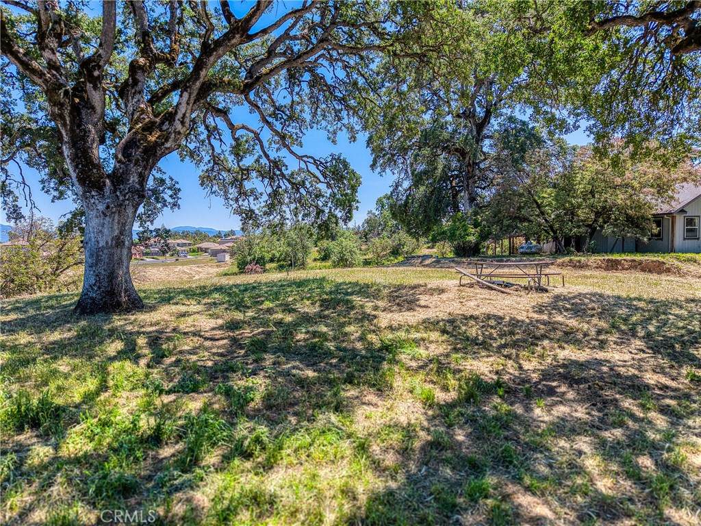 475 Shannon Lane - Photo 1