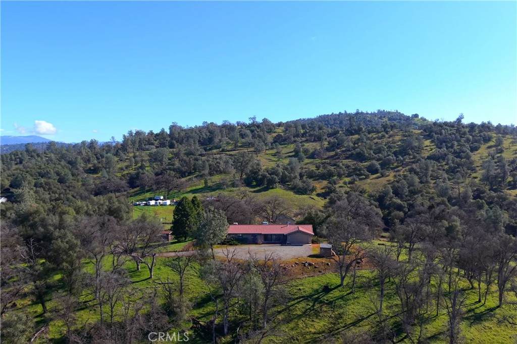 3729 Ben Hur Road - Photo 1