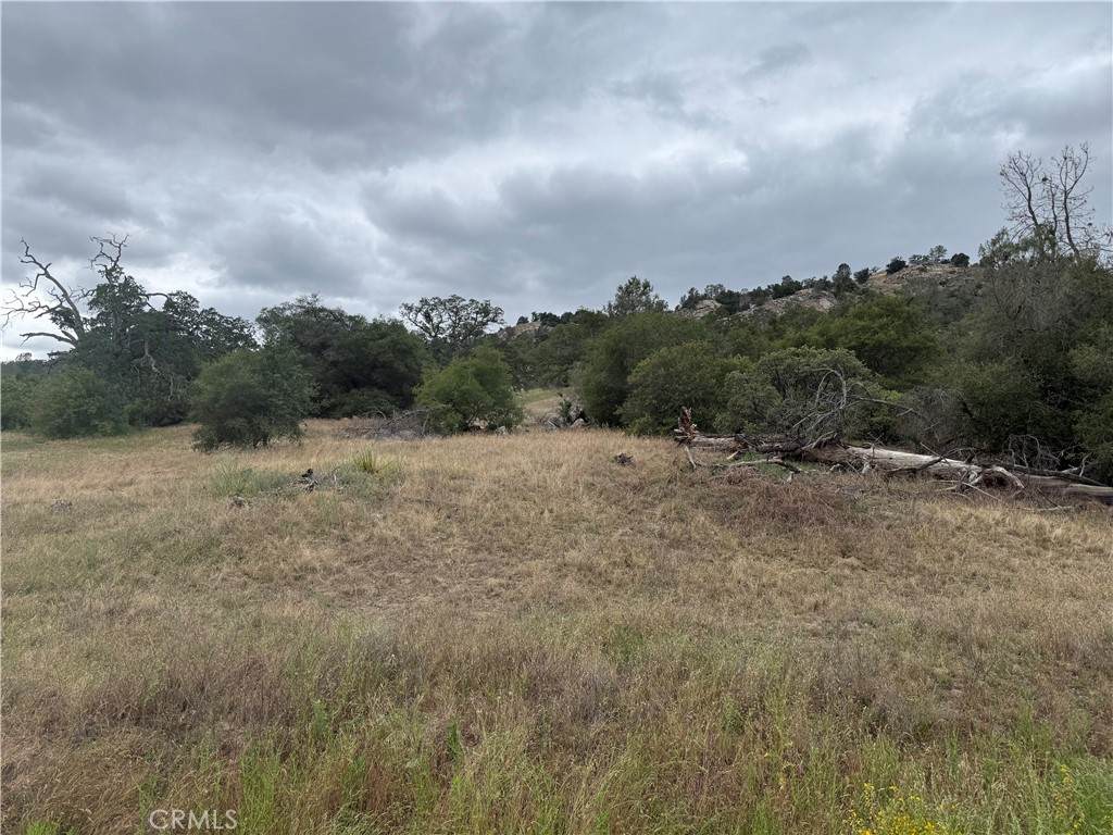 2112 Lot # North Dome - Photo 1