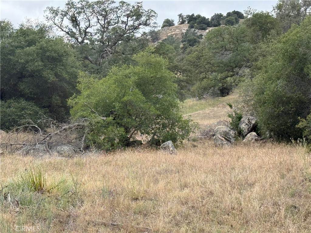 https://bt-photos.global.ssl.fastly.net/socal/orig_boomver_1_431570003-2.jpg