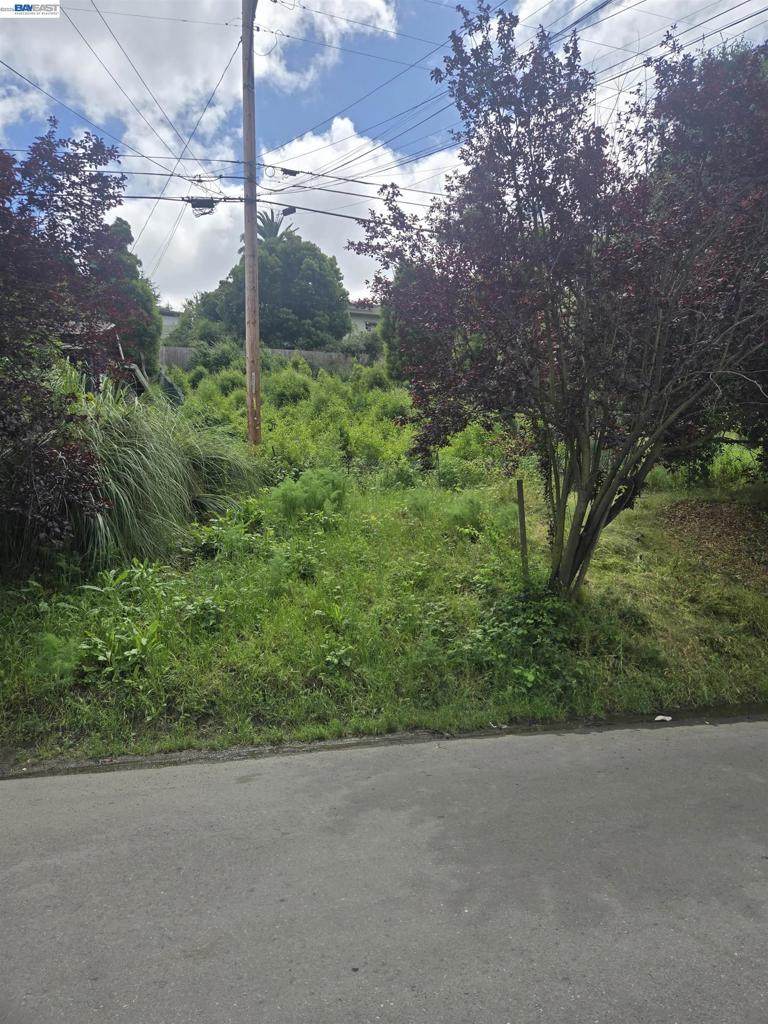 3210 Courtland - Photo 1