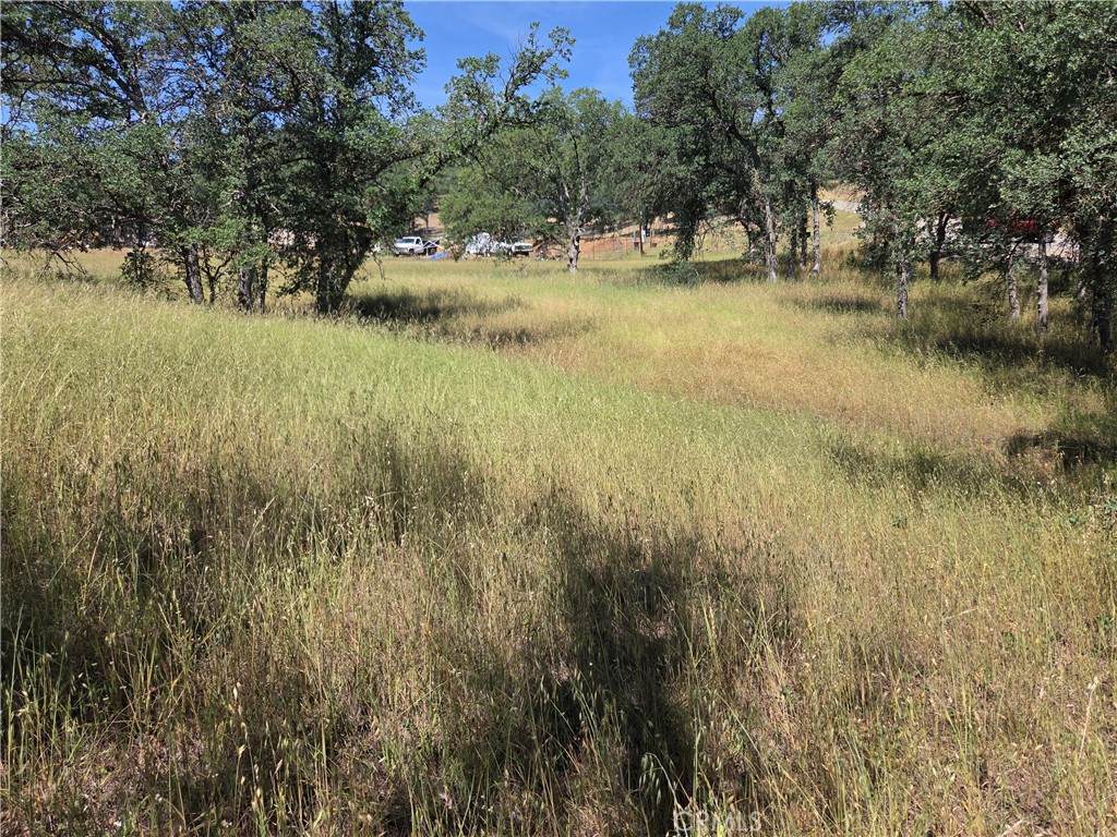 17087 Laramie - Photo 1