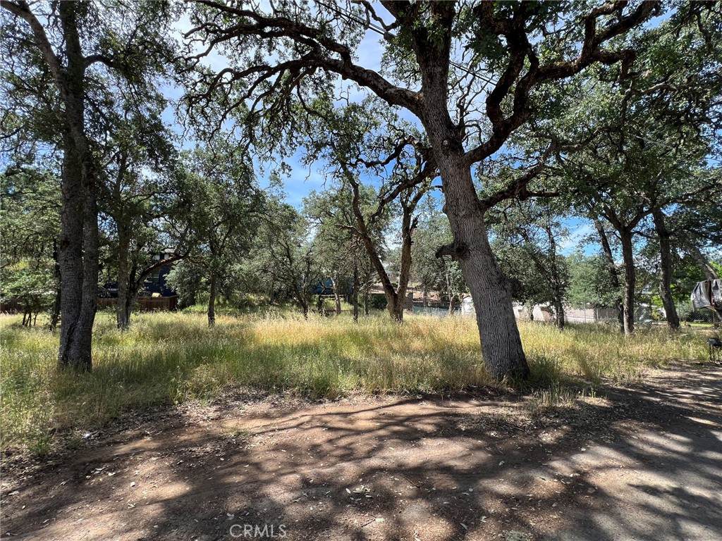 16219 36th Avenue - Photo 1