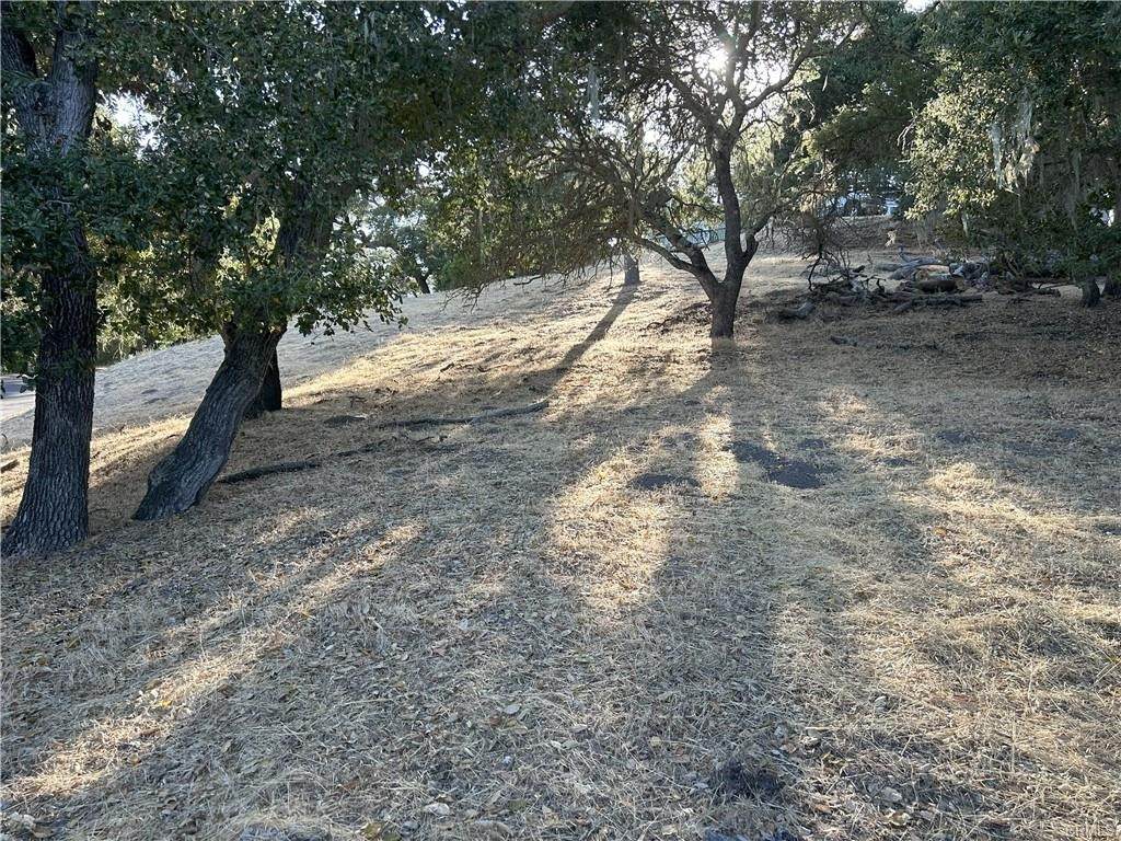 5775 Encino - Photo 1