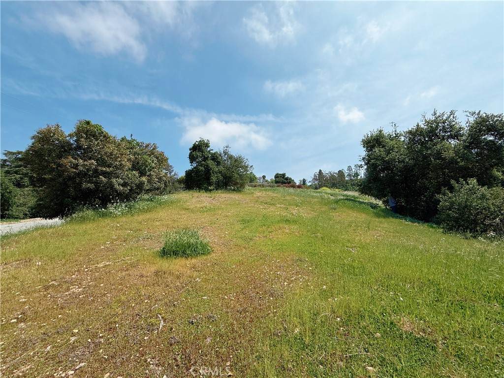 1826 Bluebird Road - Photo 1