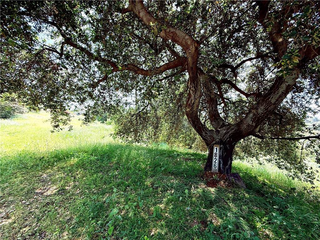 https://bt-photos.global.ssl.fastly.net/socal/orig_boomver_1_431865492-2.jpg