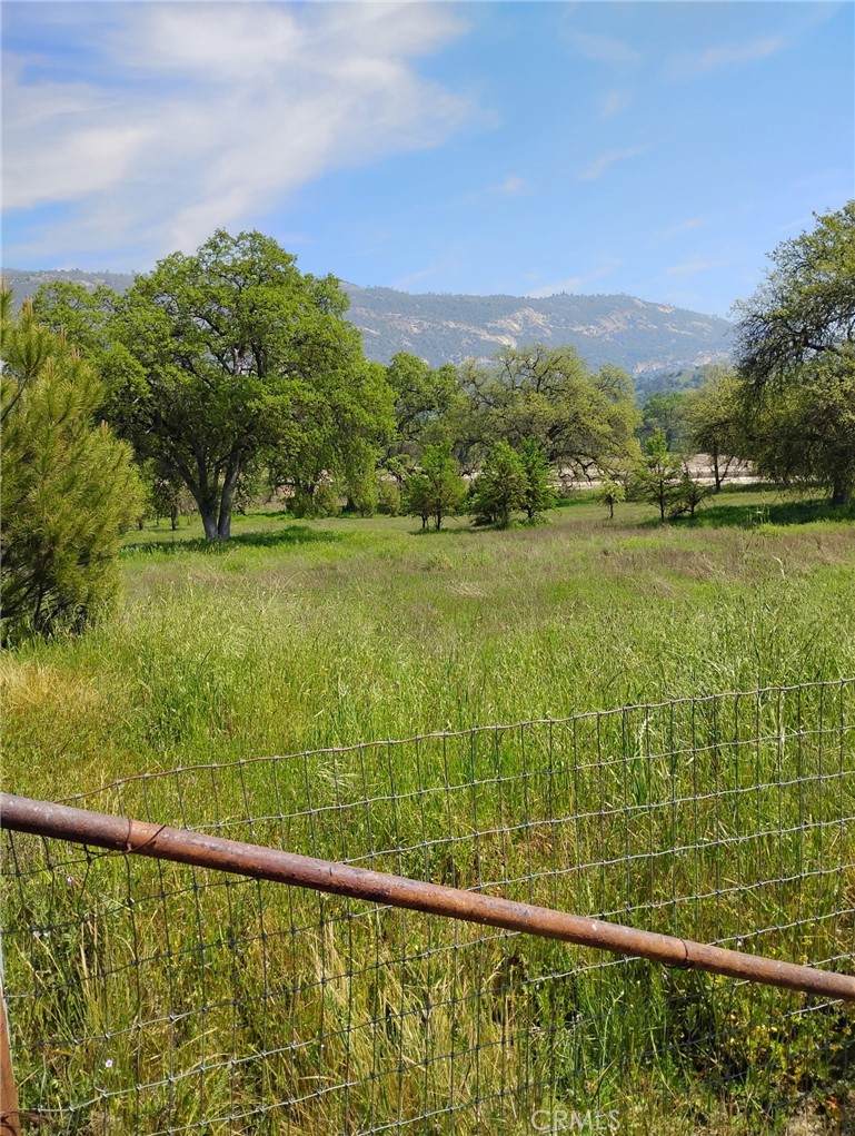 35400 Spanish Oak - Photo 1
