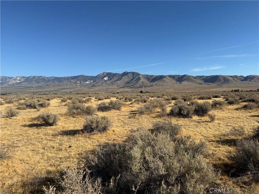 0 Lucerne Valley - Photo 1