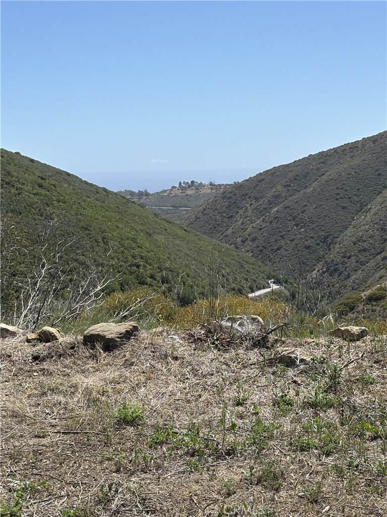12110 Yellow Hill - Photo 1