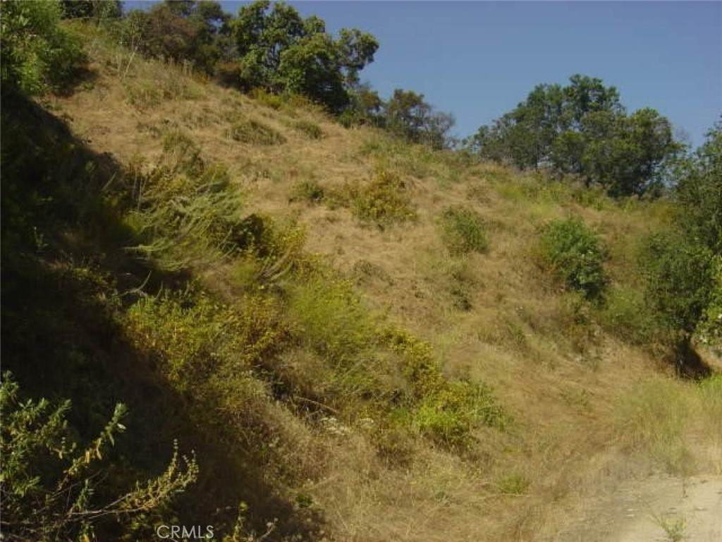 1990 Bayberry Drive - Photo 1