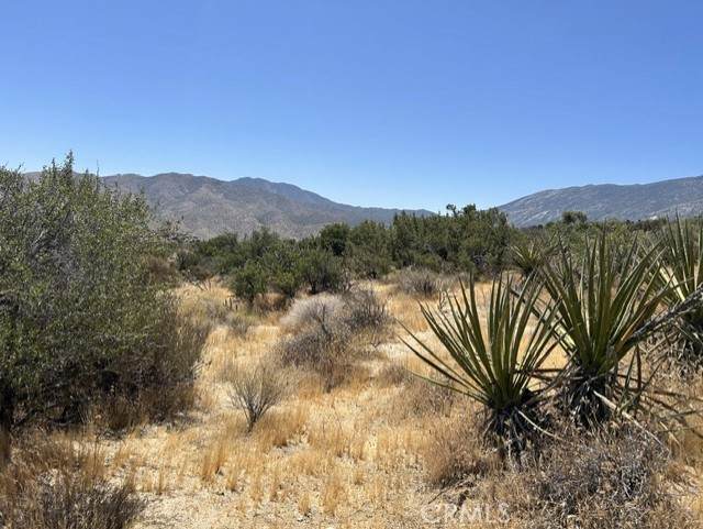 https://bt-photos.global.ssl.fastly.net/socal/orig_boomver_1_432367174-2.jpg