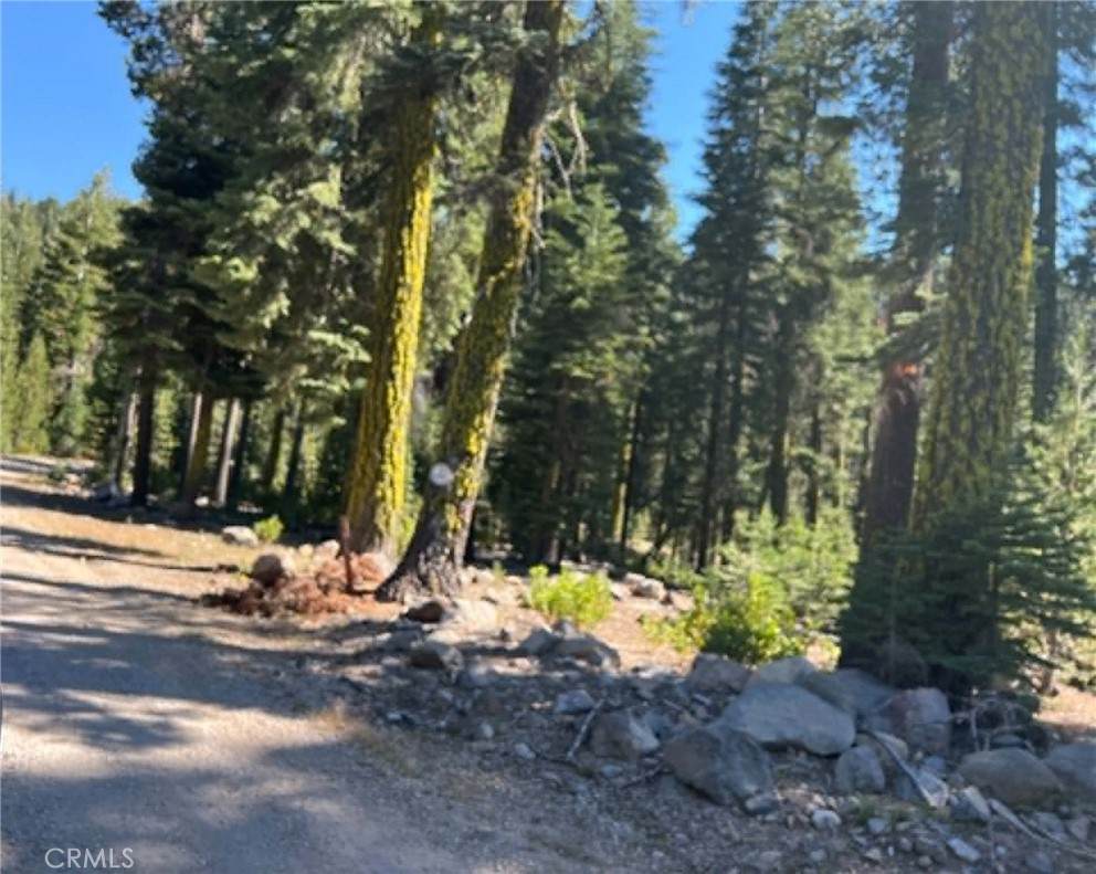 0 Logging Road - Photo 1
