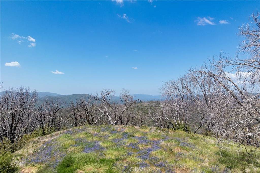 39 Acres Buckingham Mountain Road - Photo 1