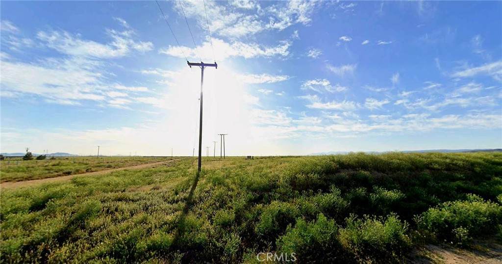 16900 Avenue A-8 - Photo 1