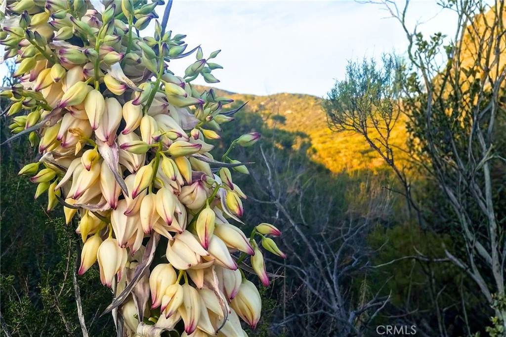 0 Cruces - Photo 1