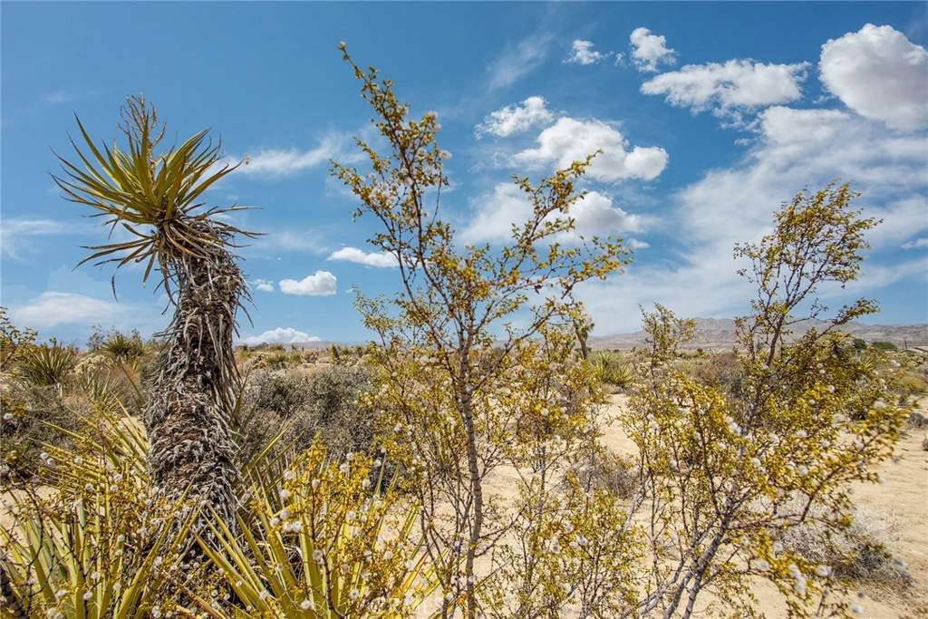 https://bt-photos.global.ssl.fastly.net/socal/orig_boomver_1_433136755-2.jpg