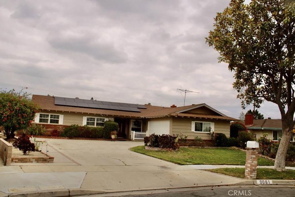 9081 Tangelo - Photo 1