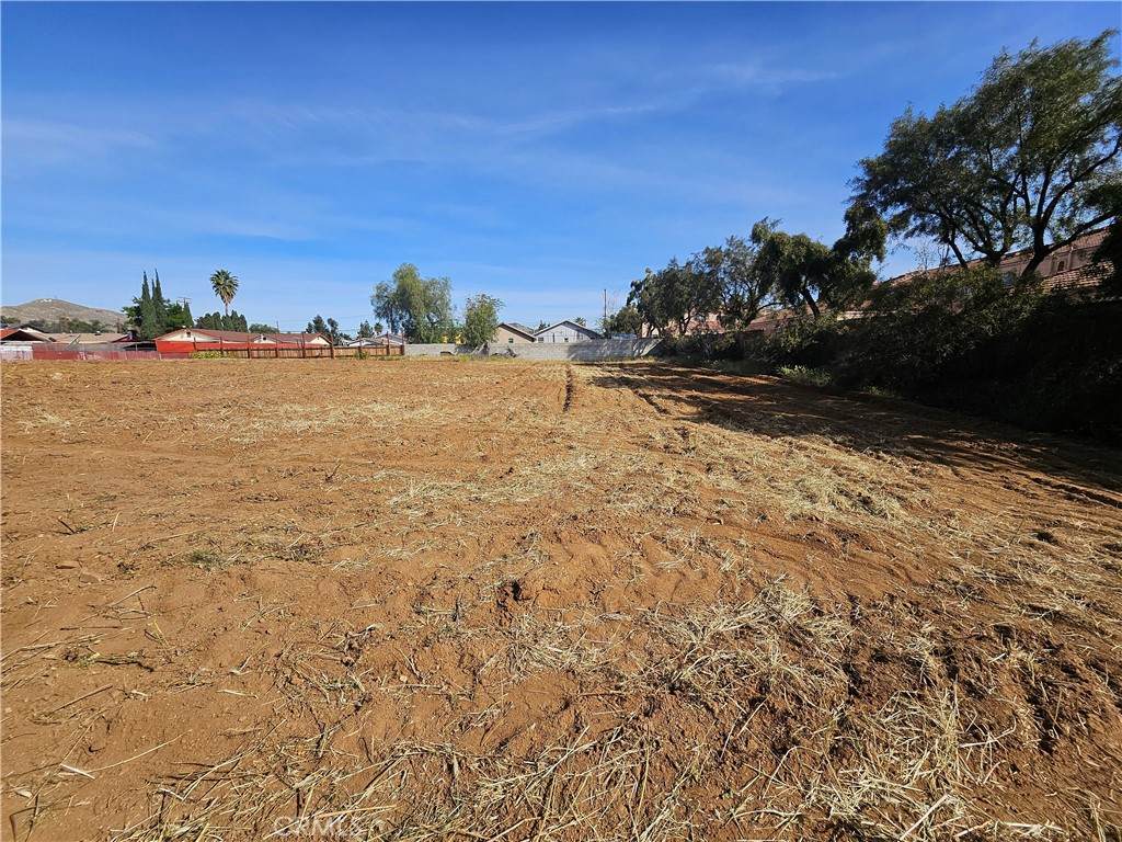 24208 Dracaea Avenue - Photo 1