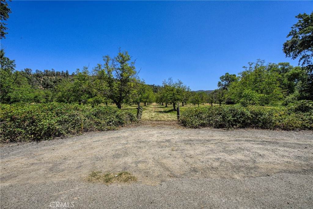 1286 Pitney Lane - Photo 1