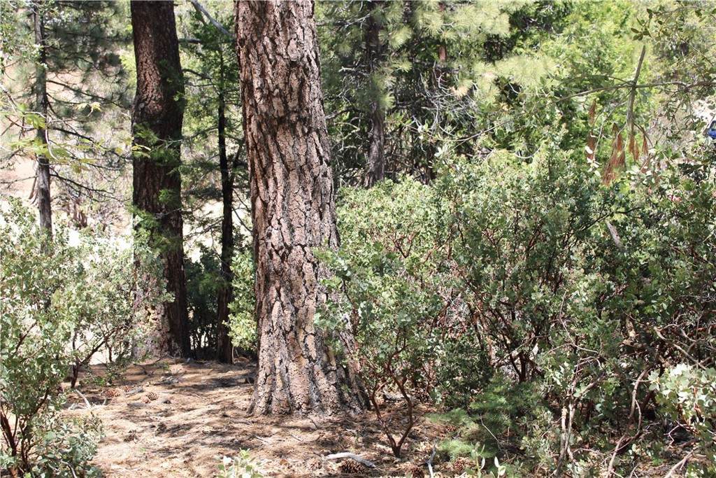 8 Big Rock Drive - Photo 1