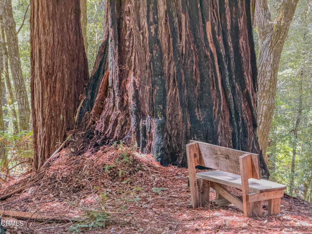 https://bt-photos.global.ssl.fastly.net/socal/orig_boomver_1_433730080-2.jpg