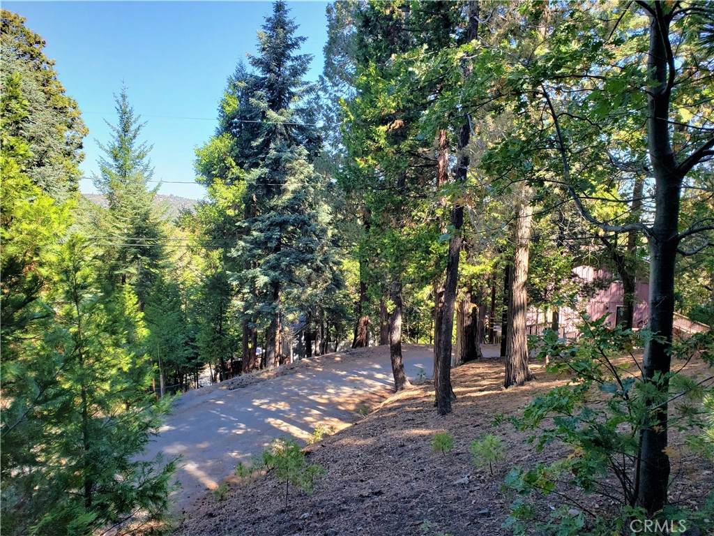 330 Castle Gate Road - Photo 1