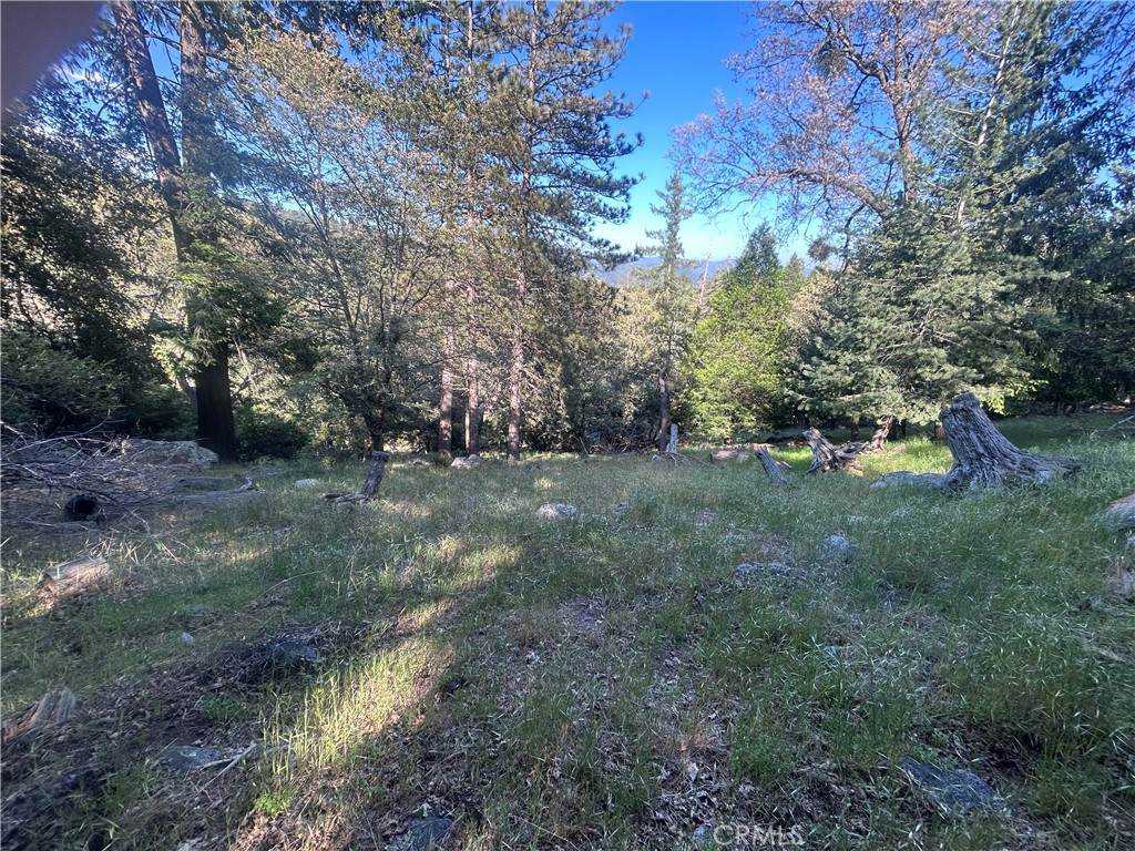 342 Canyon Dr - Photo 1