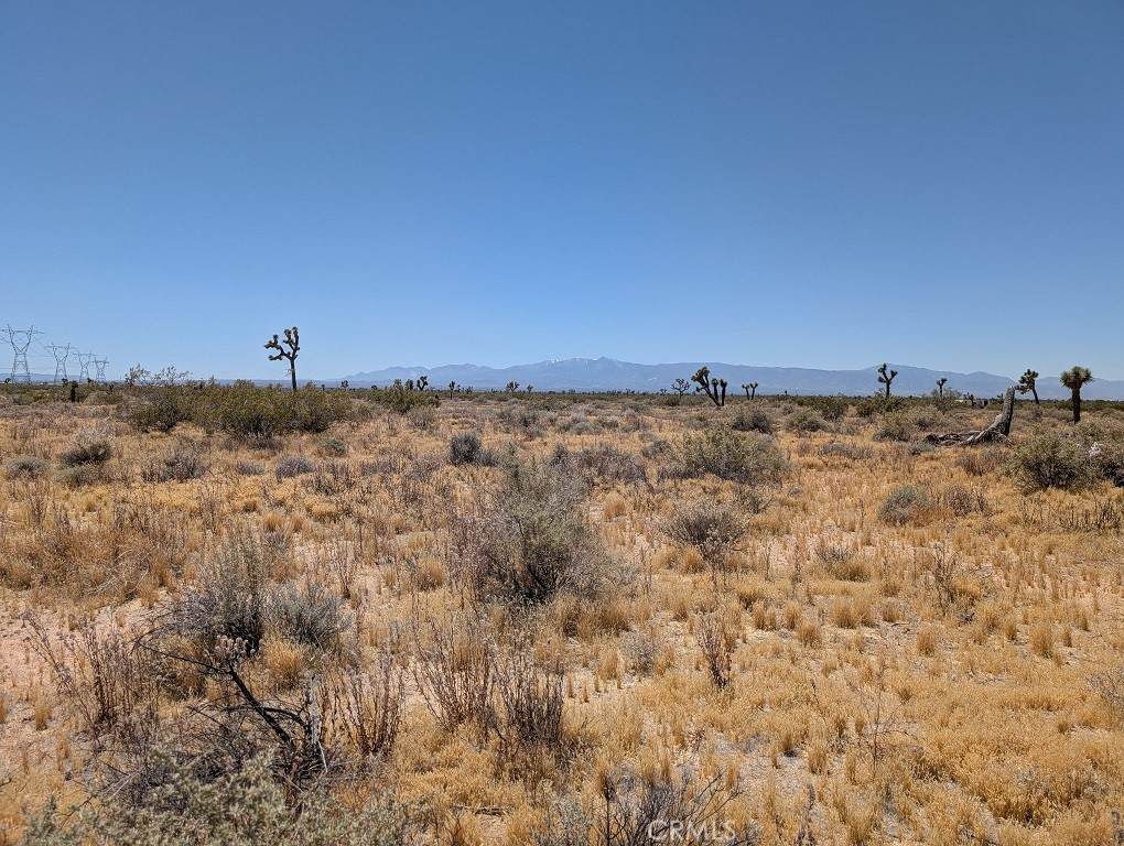 https://bt-photos.global.ssl.fastly.net/socal/orig_boomver_1_434031229-2.jpg