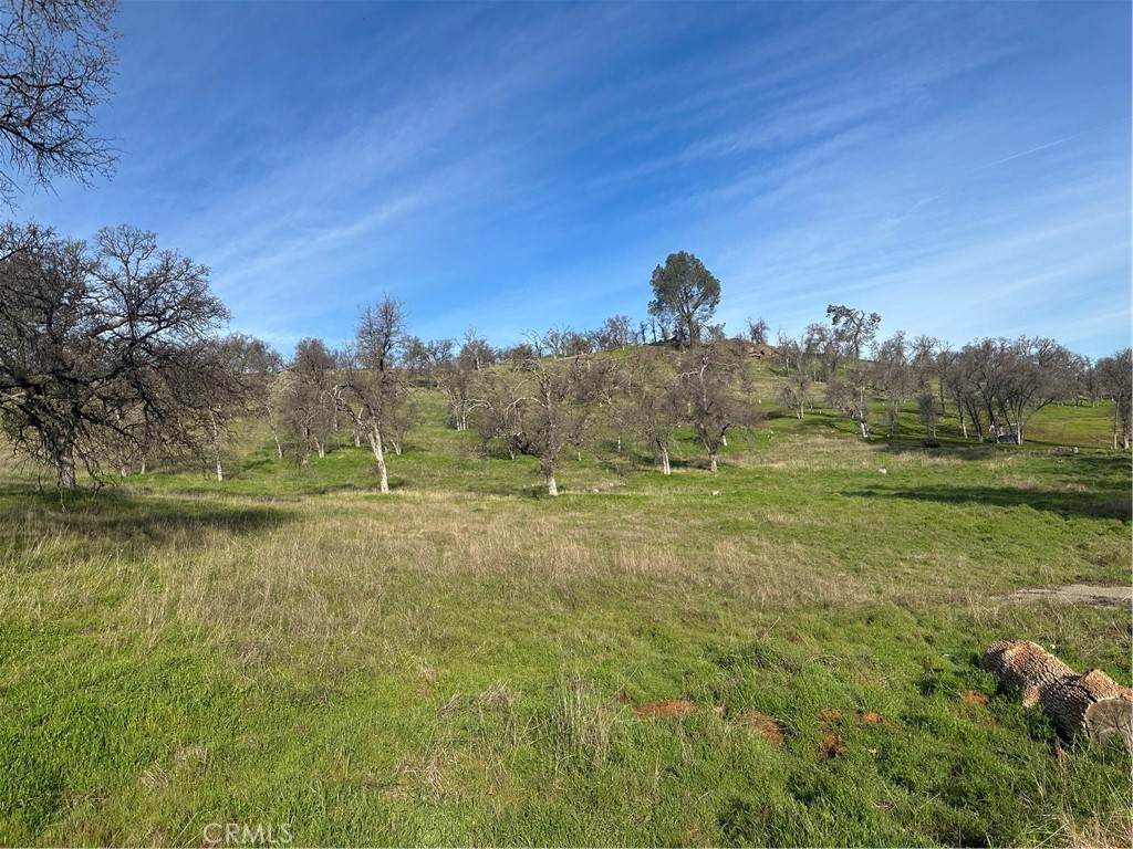 3228 Wild Rose Court - Photo 1