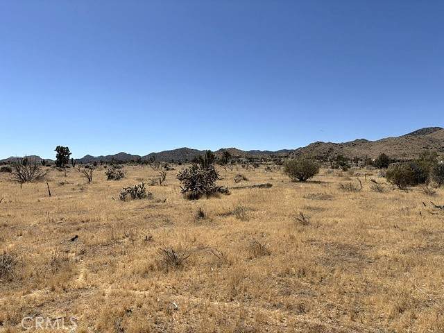 58225 San Andreas Road - Photo 1