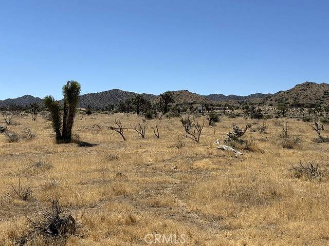 https://bt-photos.global.ssl.fastly.net/socal/orig_boomver_1_434269485-3.jpg
