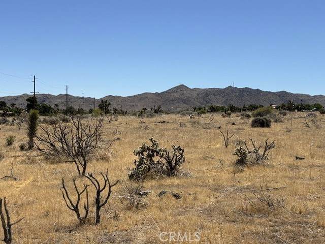 https://bt-photos.global.ssl.fastly.net/socal/orig_boomver_1_434269485-3.jpg