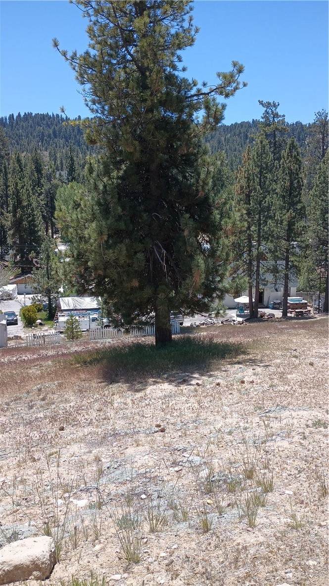 39237 Crest Lane - Photo 1
