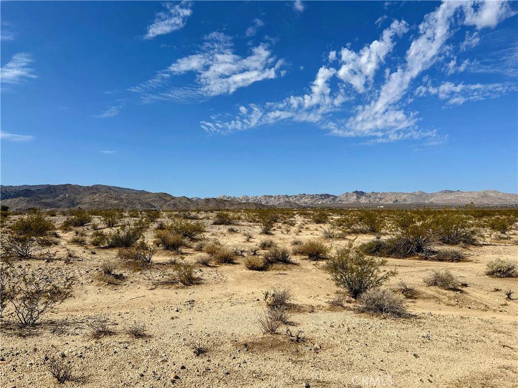70700 Two Mile Road - Photo 1