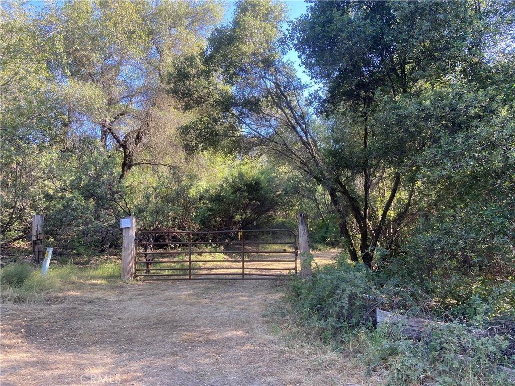 3627 Manzanita - Photo 1