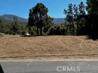 2045 Woodland Drive - Photo 1
