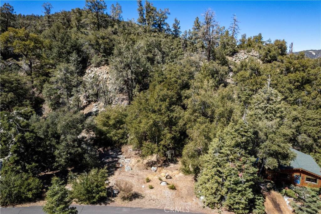 1301 Bernina Drive - Photo 1