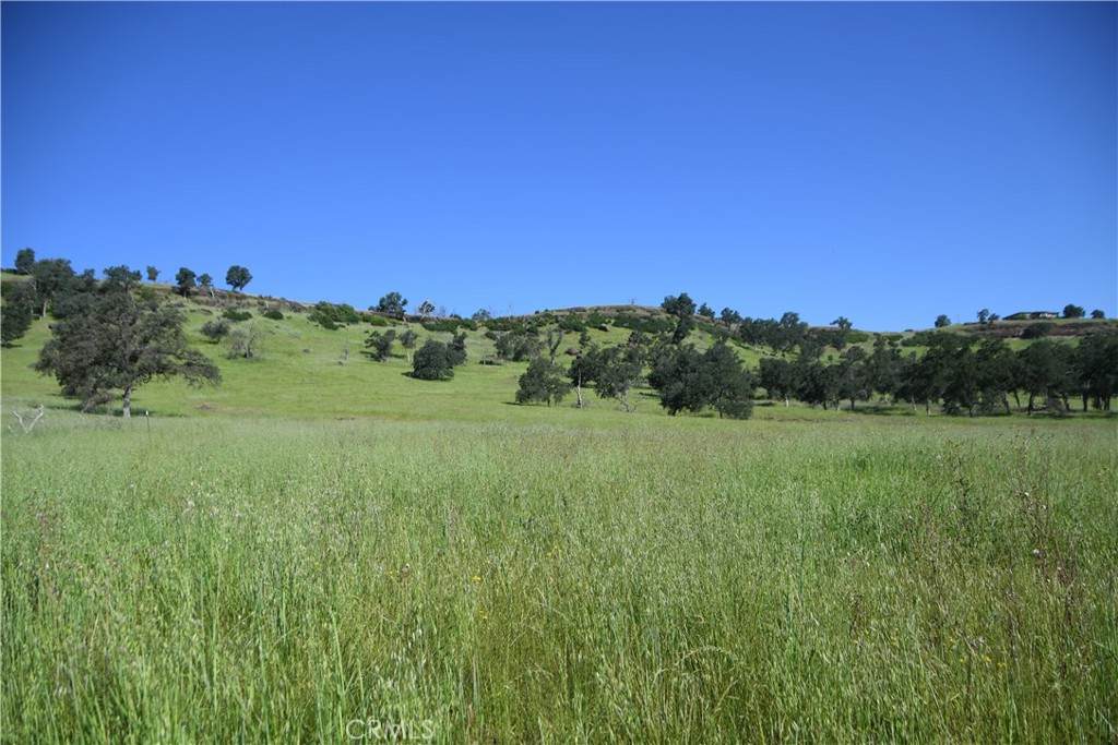 0 Cobble Creek Road - Photo 1