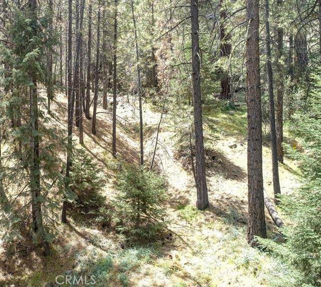 1316 Zermatt Court - Photo 1