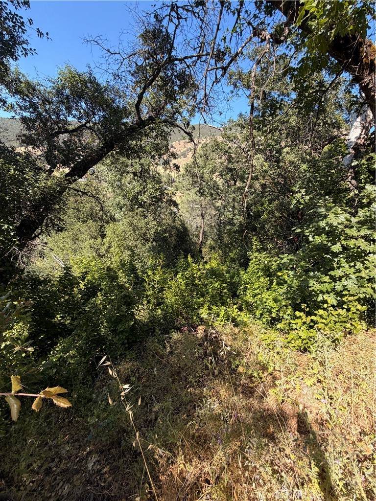 3403 Knob - Photo 1
