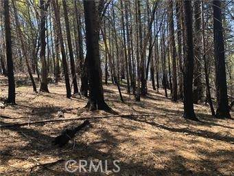 7097 High Valley - Photo 1