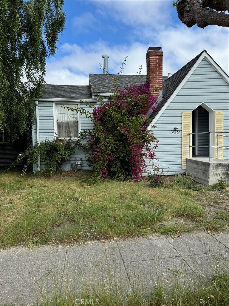 229 Angus - Photo 1