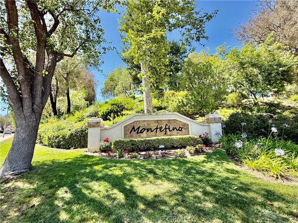 23033 Paseo De Terrado - Photo 1