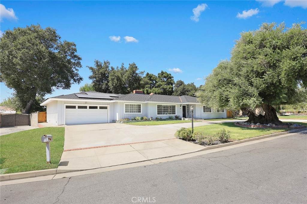 117 Catherine Park Drive - Photo 1
