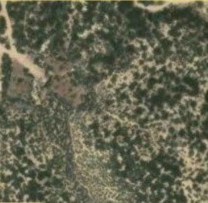 0 Dickson Hills Road - Photo 1