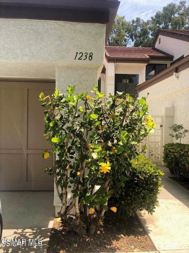 1238 Calle Bonita - Photo 1