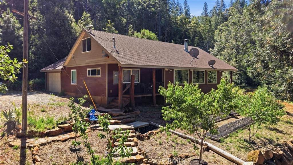 40 White Fir - Photo 1