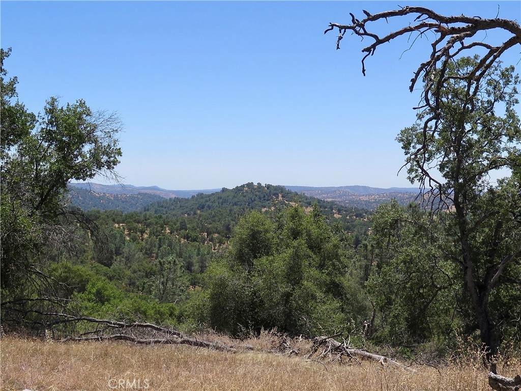 0 Ramblin Rd - Photo 1