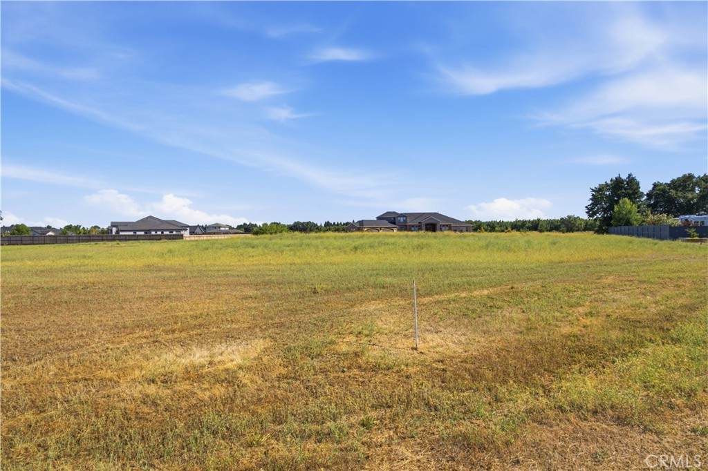 4321 Mandarin Court - Photo 1