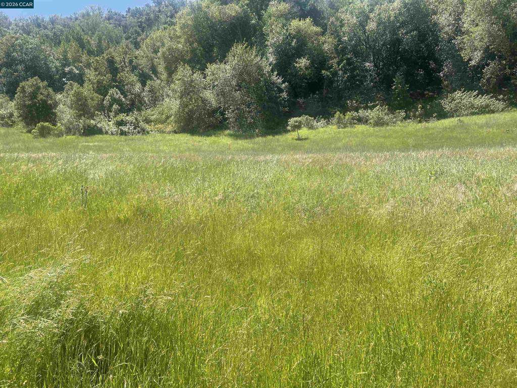 1180 Bear Creek Rd - Photo 1